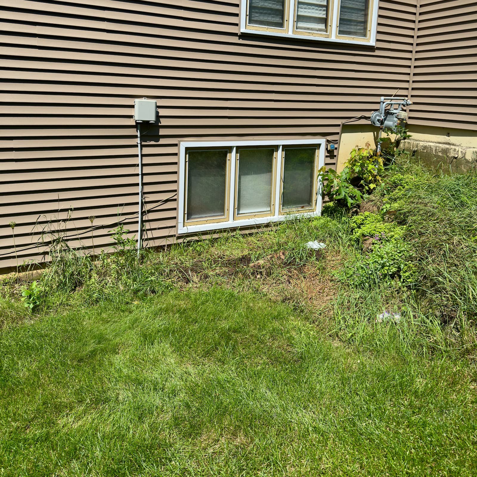 Garden bed on Raymond Rd in Madison, WI before weed removal, compost tea application, and clover seeding.